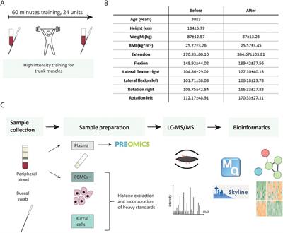 Back pain exercise therapy remodels human epigenetic profiles in buccal and human peripheral blood mononuclear cells: an exploratory study in young male participants